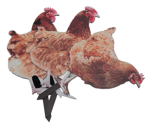Estatua Realista De Gallina Y Gallina Con Forma De Gallina P