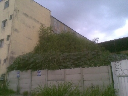 Lote Para Comprar No Inconfidentes Em Contagem/mg - 2976