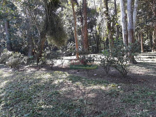 Imagem 4 de 14 de Chácara Com 2 Dormitórios À Venda, 10000 M² Por R$ 400.000 - Sítio Itaproa (ouro Fino Paulista - Ribeirão Pires/sp - Ch0542