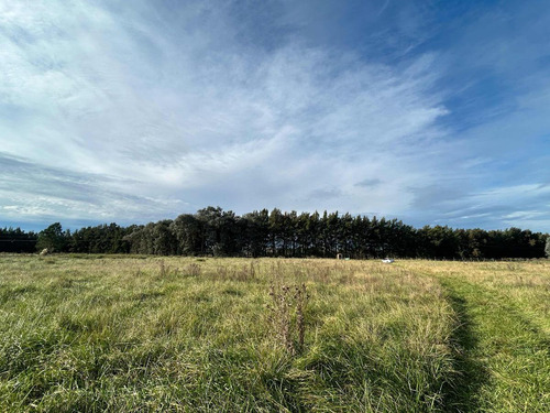 Terreno En Venta - 13.300mts2 - San Miguel Del Monte
