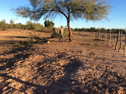 Imagen 7 de 7 de Gran Campo Ganadero!
