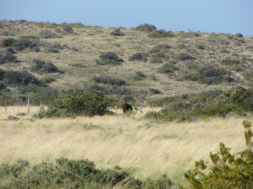 Inmobiliaria Comodoro - Peninsula Valdés - Refugio De Vida Silvestre - Permutas