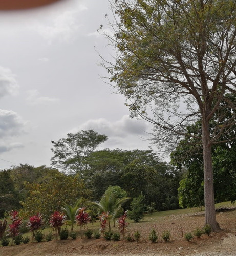 Imagen 9 de 11 de Terrena De 1 Hectárea Con Casa