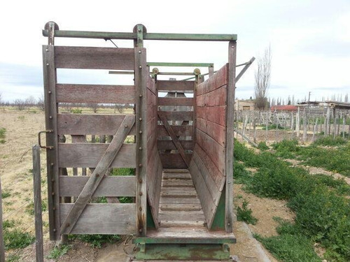 Imagen 11 de 30 de Finca De 62 Ha - General Alvear- Mendoza