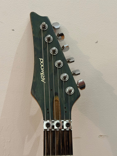 Guitarra Luthier Tipo Jem | Dimarzio Evolution | Floyd Gotoh (Usado)
