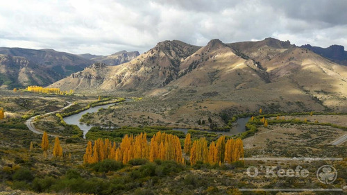 Imagen 5 de 30 de Chacra En Bariloche Sobre El Río Limay - Pesca Patagonia