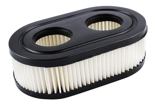 Filtro De Aire Briggs & Stratton 798452 3.5hp/5hp Serie 550