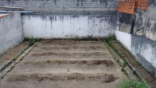 Imagem 5 de 6 de Terreno À Venda, Jardim Maringá, São Paulo. - Te0174