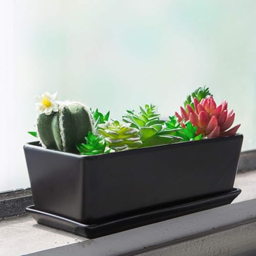 Sqowl Maceta Rectangular Para Suculentas De Cerámica De 10