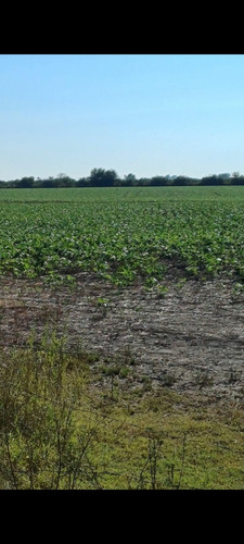 Campo 27 Hectareas Rosario Del Tala Soja Trigo Sorgo