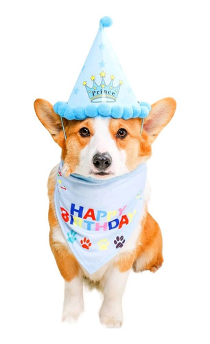 Gorro + Bandana Feliz Cumpleaños Perros Mascota Fiesta 
