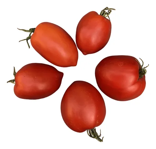 comprar Semillas De Tomate Amish Paste Orgánico (20 Semillas)