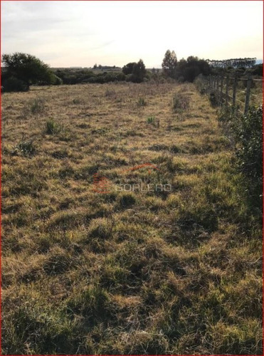 Imagen 1 de 2 de Chacra Próximo A Ruta 12 Y Pueblo Edén, 12 Hás Con Costa