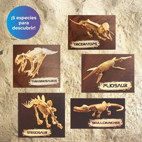 Set Arqueologia Dinosaurios T-rex Jurassicworld C/accesorios | MercadoLibre Set Arqueologia Dinosaurios T-rex Jurassicworld C/accesorios | MercadoLibre