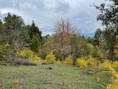 Imagen 4 de 6 de Las Golondrinas - Chubut