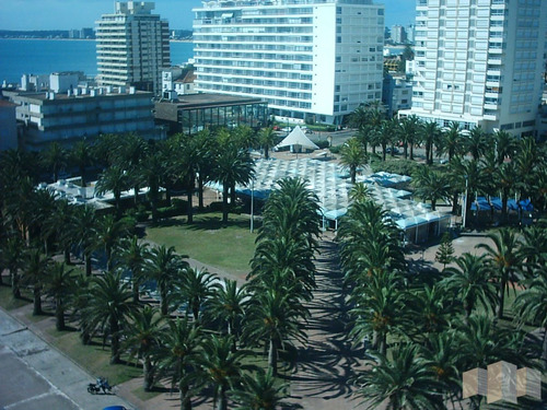 Imagen 19 de 30 de Con Excelente Vista Al Mar