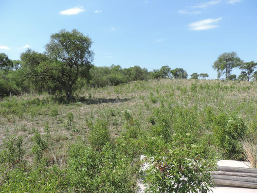 Oportunidad !!! Campo Productivo, Cría Y Siembra - 65 Has En San Pedro, Cba.