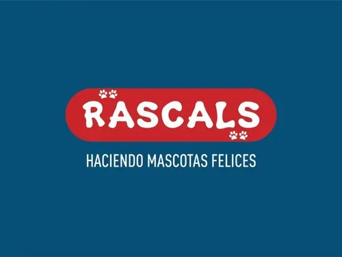 Pack De 4 Pelotas De Goma Para Gatos Rascals X Mayor Petshop Surtidas