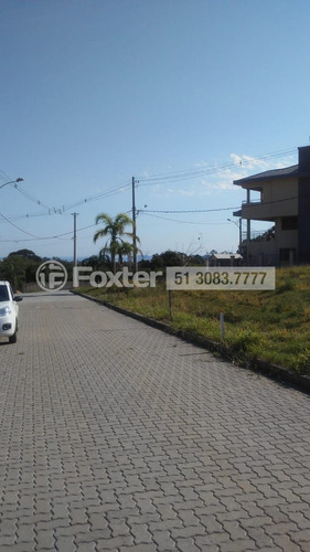 Imagem 3 de 21 de Terreno, 252 M², Campo Novo - 190385