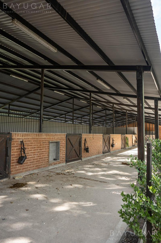 Venta Caballerizas - San Jorge Chico - General Rodriguez