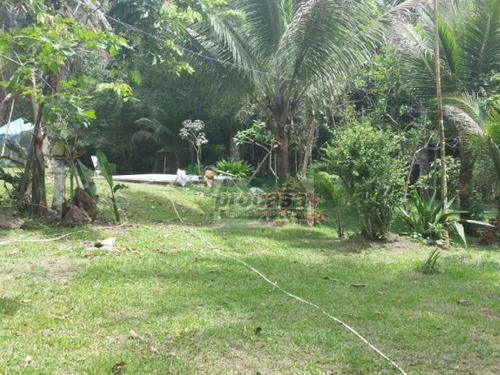 Chácara Com 3 Dormitórios À Venda Por R$ 1.800.000,00 - Tarumã - Manaus/am - Ch0007