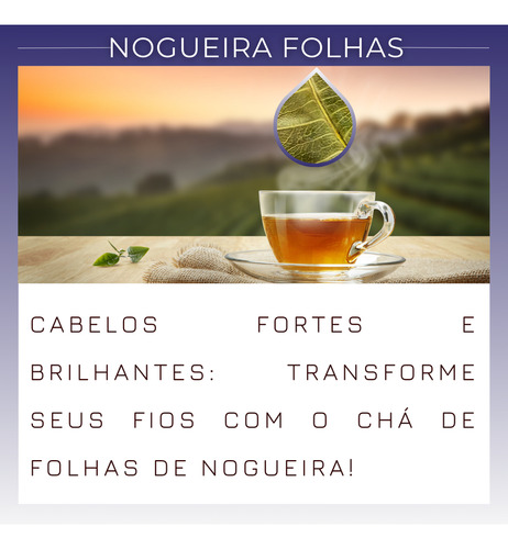 Nogueira Folhas Para Chá Naturalmente Pura-30g