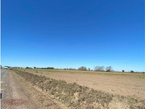 Campo 7.8hs. Rural/industrial En Timbúes Sobre Ingreso A Puertos