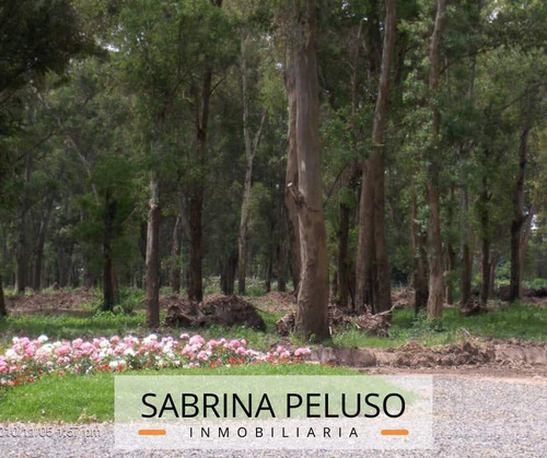 Imagen 5 de 10 de Terreno En Alvarez Del Bosque
