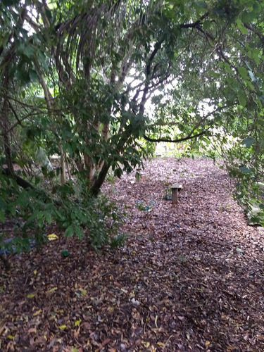 Imagem 3 de 14 de Sitio 2,5 Alqueire Na Br 153 Entre Getulina E Guaimbe