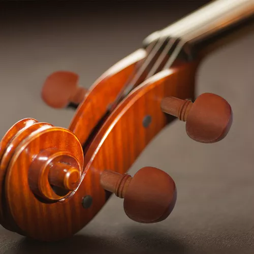 Clavijas Violin | MercadoLibre