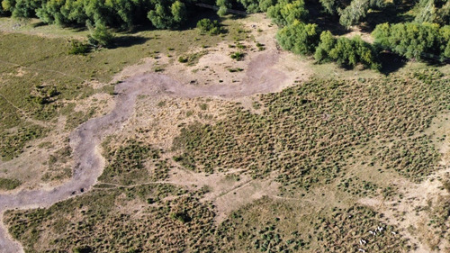 Venta 4,8 Has Sobre La Ruta 40 - San Martín De Los Andes - A 15 Km Del Centro