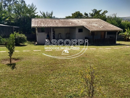 Imagem 7 de 20 de Excelente Chácara No Chácaras Primavera Em Águas De São Pedro.(código Ch00067) - Ch00067 - 71102622