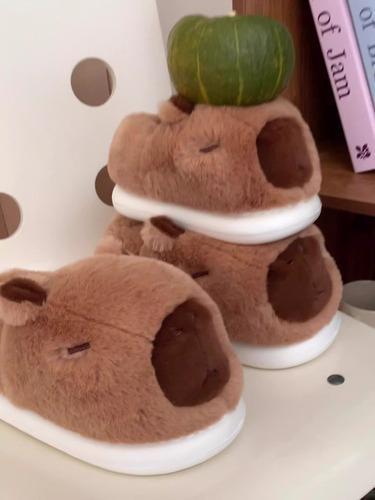 Zapatillas Cálidas De Algodón Con Forma De Capibara For Inv
