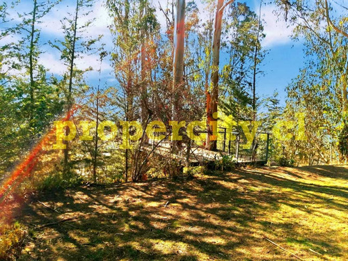 Baja Su Precio! Casa En Venta En Parcela (81273)
