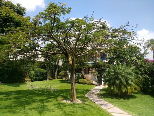Imagen 4 de 12 de Casa Sola En Venta Delicias