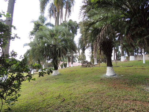 Imagem 7 de 21 de Chácara À Venda Com 2884.06m² Por R$ 4.100.000,00 No Bairro Bairro Alto - Curitiba / Pr - R1143-3