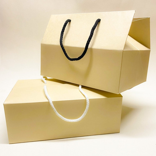 Imagen 7 de 7 de Caja Bolsa Premium Rígida C/cordón 18x25x18cm (x50u) 215