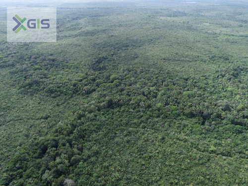 Imagem 8 de 14 de Fazenda À Venda, 2.019,2237 Ha Por R$ 1.600.000 - Br-308 - Mirinzal/ma - Fa0014