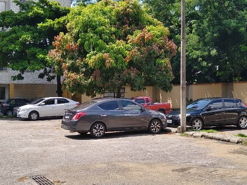 Apartamento À Venda Na Rua Van Erven, Catumbi, Rio De Janeiro - Rj - Liv-11664