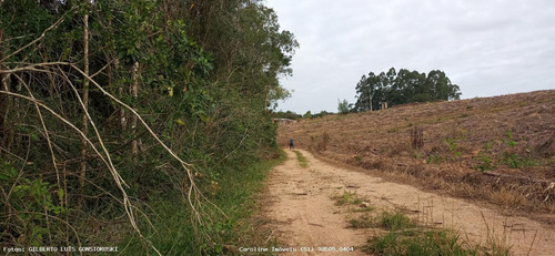 Imagem 12 de 15 de Terreno Para Venda Em Mariana Pimentel, Linha Alves - 1244_1-1843088