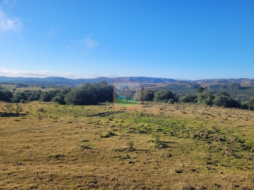 Imagen 5 de 20 de Chacra 14 Hás Con Casa Y Galpón Maldonado