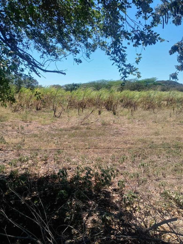 Imagen 4 de 6 de Finca Para Actividad Agropecuaria
