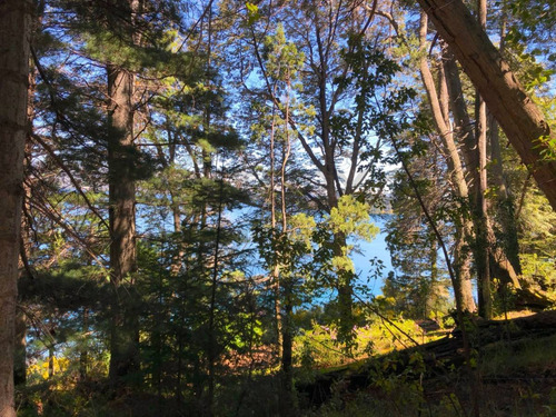 Imagen 29 de 29 de Exclusivo Lote V. La Angostura C/acceso Al Lago Nahuel Huapi Y Muelle, Apto 2 Uf