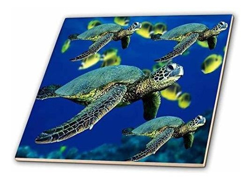 3drose Sea Turtles - Azulejo De Cerámica, 12 (ct_26849_4)