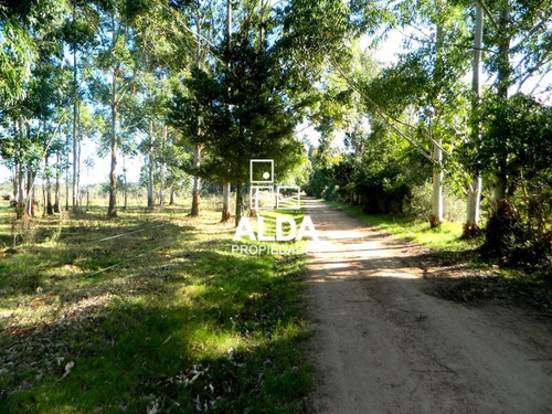 Imagen 5 de 12 de Terreno Barra Portezuelo Piriápolis Venta Te201156