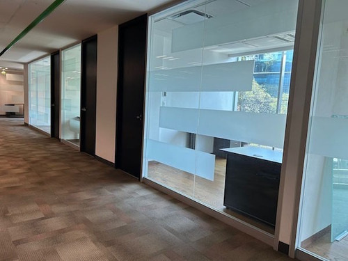 Oficina En Renta En Lomas De Chapultepec De 525 M² Lv113