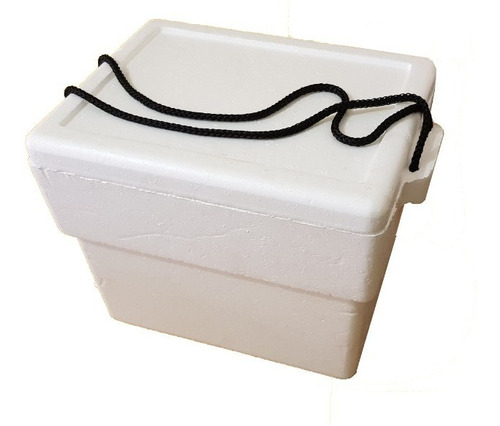 Hielera Con Asa Capacidad De 10 Litros