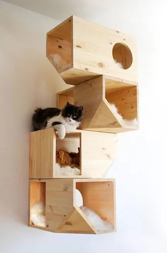 Casas Para Gatos Flotantes
