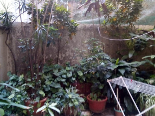 Imagen 9 de 19 de Departamento - Caballito