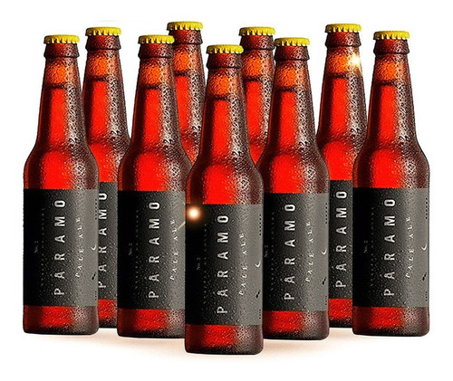 12 Pack Cerveza Artesanal Colimita Paramo 355ml C/u
